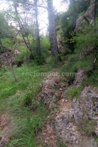 Retorno - Barranc de l'Obaga Negra - Boixols - RocJumper