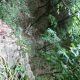041 Barranc Coll Sant Ramon Figols Rocjumper