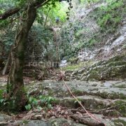 042 Barranc Coll Sant Ramon Figols Rocjumper