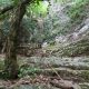 042 Barranc Coll Sant Ramon Figols Rocjumper
