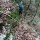 043 Barranc Coll Sant Ramon Figols Rocjumper