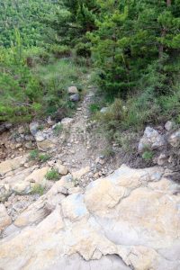 Sendero - Barranco del Coll de Sant Ramon - Fígols - RocJumper