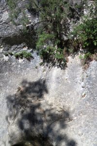 Cordino - Barranco del Fornocal - Colungo - RocJumper