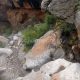 061 Barranc Grau Plana Fuiet Gurp Rocjumper