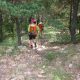 002 Torrent Corba Bruguera Rocjumper