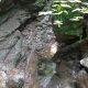 005 Torrent Corba Bruguera Rocjumper
