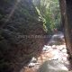 006 Torrent Corba Bruguera Rocjumper