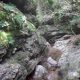007 Torrent Corba Bruguera Rocjumper