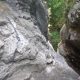 008 Torrent Corba Bruguera Rocjumper