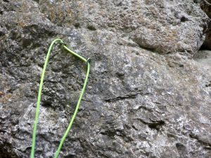 R1 - Torrent de la Corba - Bruguera - RocJumper
