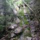 013 Torrent Corba Bruguera Rocjumper