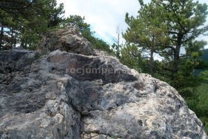 Caminar - Camí Aeri de l'Àrtic - Vallcebre - RocJumper