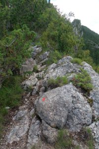 Caminar - Camí Aeri de l'Àrtic - Vallcebre - RocJumper