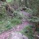 022 Torrent Corba Bruguera Rocjumper