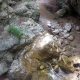023 Torrent Corba Bruguera Rocjumper