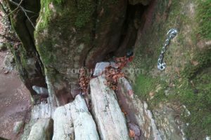 R1 - Torrent de la Pedrera - Camprodon - RocJumper