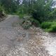 024 Torrent Corba Bruguera Rocjumper