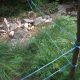 026 Torrent Corba Bruguera Rocjumper