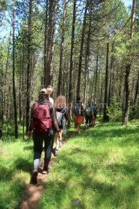 Retorno por el bosque - Camí Aeri de l'Àrtic - Vallcebre - RocJumper