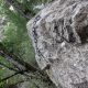 030 Torrent Corba Bruguera Rocjumper