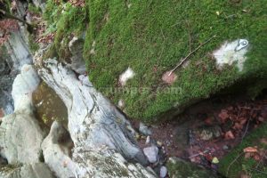 R3 - Torrent de la Pedrera - Camprodon - RocJumper