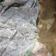036 Torrent Corba Bruguera Rocjumper