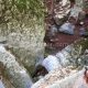 036 Torrent Pedrera Camprodon Rocjumper