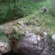 038 Torrent Corba Bruguera Rocjumper