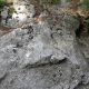 039 Torrent Corba Bruguera Rocjumper