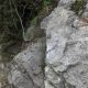 040 Torrent Corba Bruguera Rocjumper