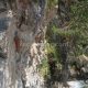 043 Barranco Caldares Banos Panticosa Rocjumper