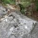 044 Torrent Corba Bruguera Rocjumper