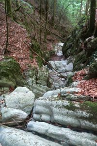 R6 - Torrent de la Pedrera - Camprodon - RocJumper