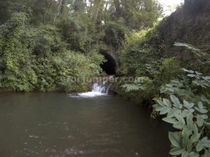 Final - Torrent de la Font Gran - Ogassa - RocJumper