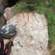 051 Torrent Corba Bruguera Rocjumper