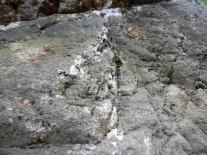 R9' - Torrent de la Corba - Bruguera - RocJumper