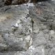 054 Torrent Corba Bruguera Rocjumper