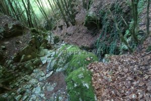 R9 - Torrent de la Pedrera - Camprodon - RocJumper