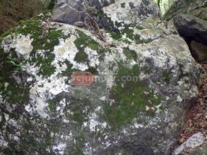 Cartel retorno - Torrent de la Corba - Bruguera - RocJumper