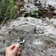 070 Torrent Corba Bruguera Rocjumper