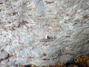 Ts - Torrent de la Corba - Bruguera - RocJumper