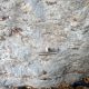 072 Torrent Corba Bruguera Rocjumper