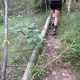 074 Torrent Corba Bruguera Rocjumper