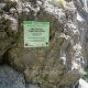 076 Barranc Nuria Queralbs Rocjumper