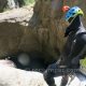 079 Barranc Nuria Queralbs Rocjumper