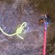 097 Barranc Nuria Queralbs Rocjumper