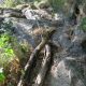 102 Barranc Nuria Queralbs Rocjumper
