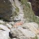 007 Torrent Balma Queralbs Rocjumper
