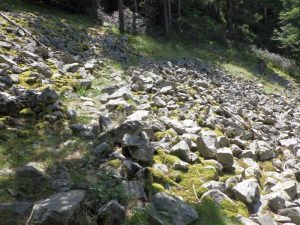 Tartera - Torrent de la Calç - Queralbs - RocJumper