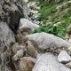 014 Torrent Balma Queralbs Rocjumper